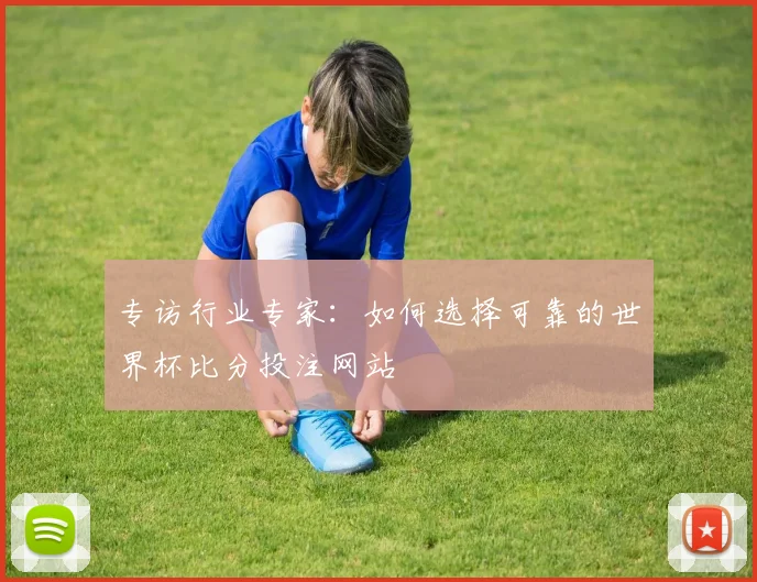 专访行业专家：如何选择可靠的世界杯比分投注网站