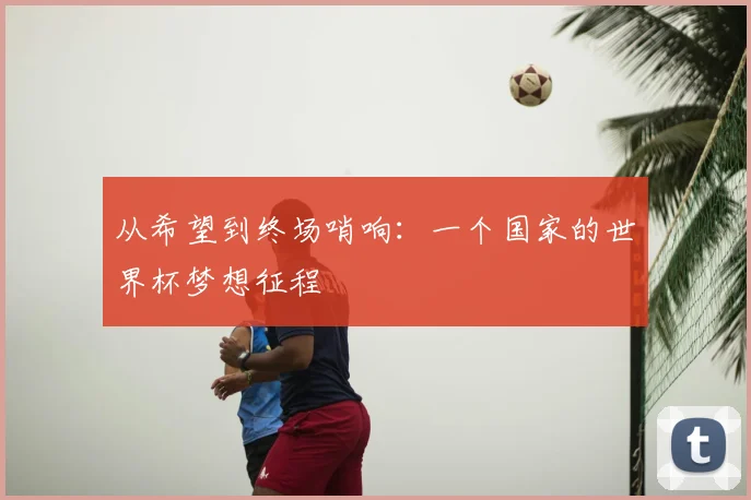 从希望到终场哨响：一个国家的世界杯梦想征程