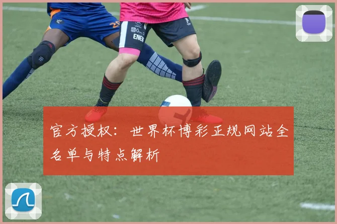 官方授权:世界杯博彩正规网站全名单与特点解析