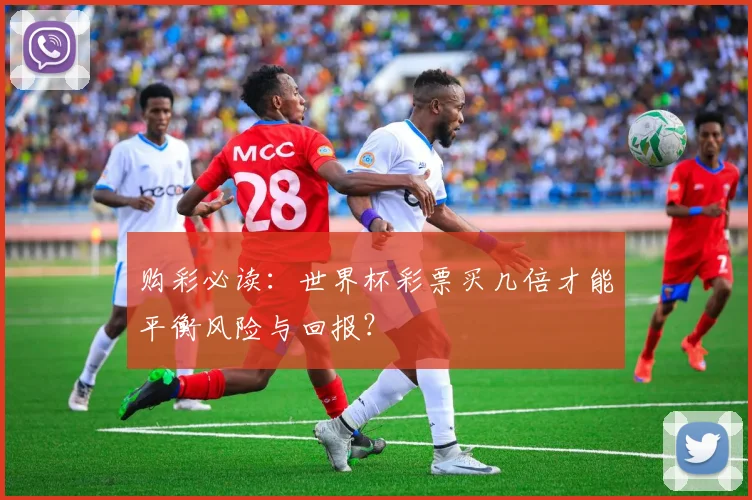 购彩必读:世界杯彩票买几倍才能平衡风险与回报?