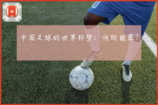 中国足球的世界杯梦：何时能圆？