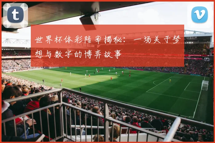世界杯体彩陪率揭秘：一场关于梦想与数字的博弈故事