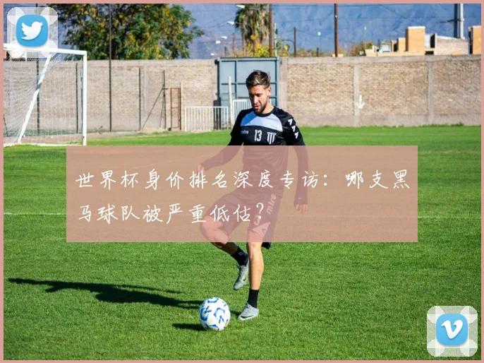 世界杯身价排名深度专访：哪支黑马球队被严重低估？