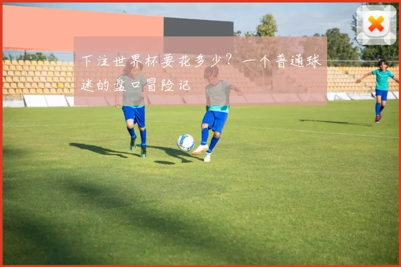 下注世界杯要花多少?一个普通球迷的盘口冒险记