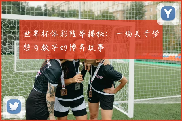 世界杯体彩陪率揭秘：一场关于梦想与数字的博弈故事