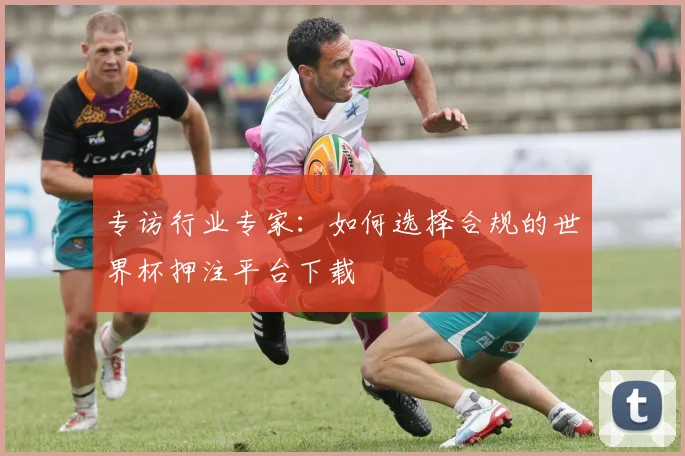 专访行业专家：如何选择合规的世界杯押注平台下载
