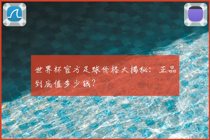 世界杯官方足球价格大揭秘：正品到底值多少钱？