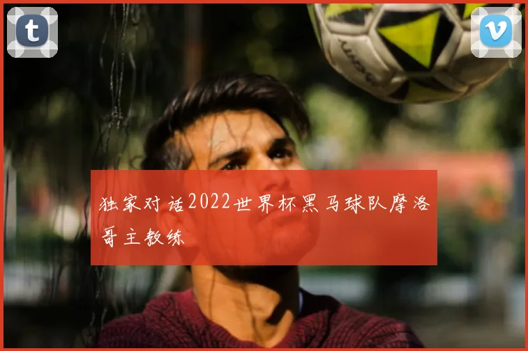 独家对话2022世界杯黑马球队摩洛哥主教练
