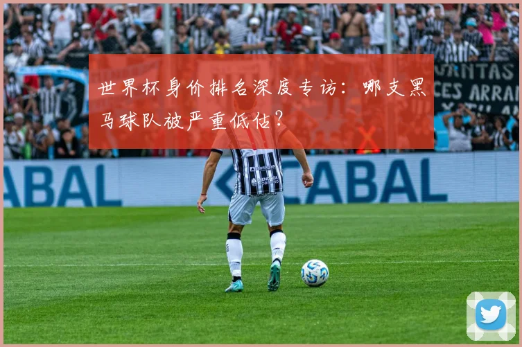 世界杯身价排名深度专访：哪支黑马球队被严重低估？