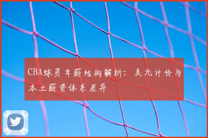 CBA球员年薪结构解析：美元计价与本土薪资体系差异