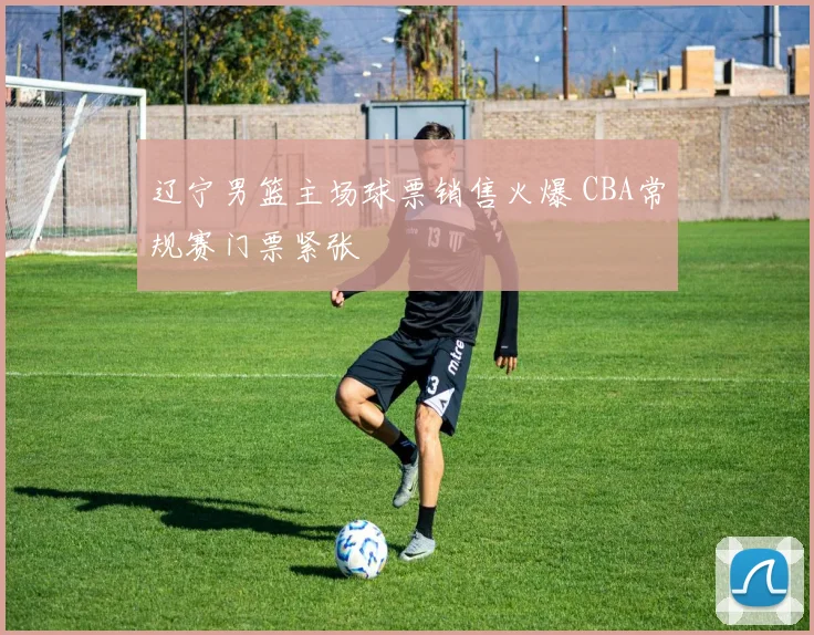 辽宁男篮主场球票销售火爆 CBA常规赛门票紧张