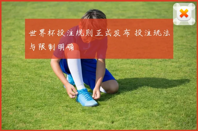 世界杯投注规则正式发布 投注玩法与限制明确