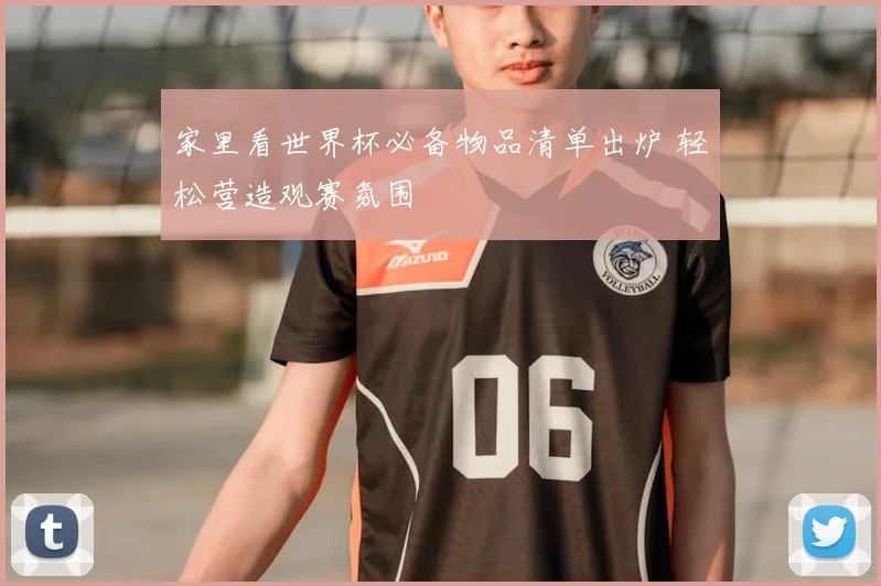 家里看世界杯必备物品清单出炉 轻松营造观赛氛围