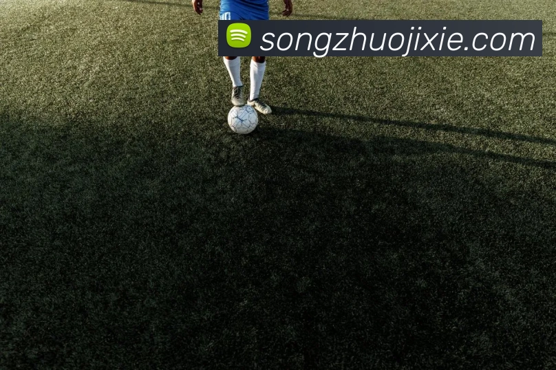 登录器